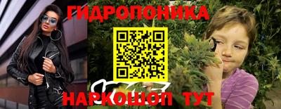 крисы Апшеронск