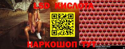 крисы Апшеронск
