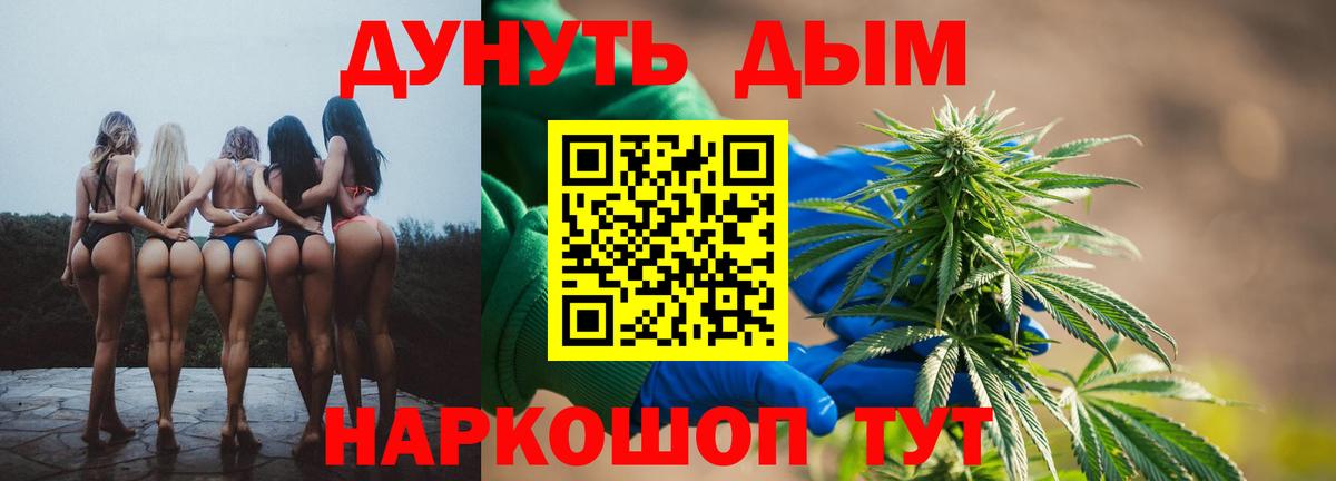 Конопля сатива Воркута